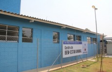 Escolha de empresa continua