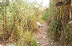 Polícia Civil prende suspeito de homicídio