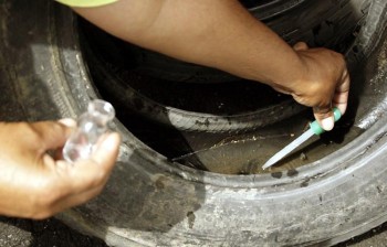 Projeto leva conscientização sobre Aedes aegypti à escola