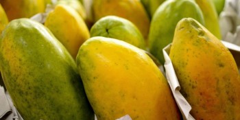 Governo prorroga prazo para cadastro na Agricultura Familiar