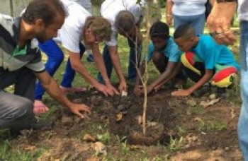 Secretaria começa plantio de mudas
