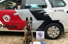 PM e Canil detêm dupla por tráfico