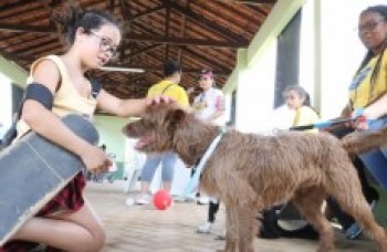 Mercado Produtor recebe feira de doação de animais