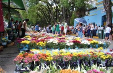 Cemitérios registram movimento