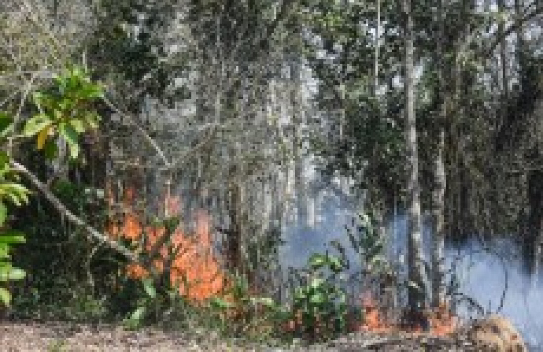 Bombeiros atendem 34 casos de incêndio neste domingo