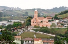 Região tem 1ª morte de macaco por doença