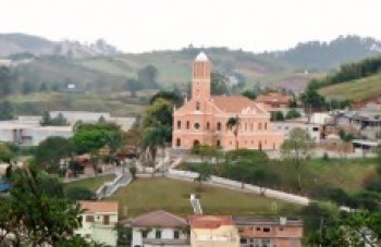 Região tem 1ª morte de macaco por doença