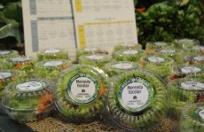 R$1,3 mi é investido em hortifruti