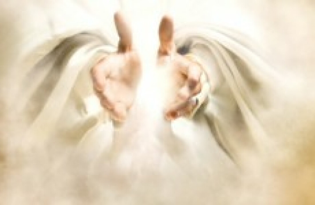 "Na casa de meu Pai há muitas moradas"