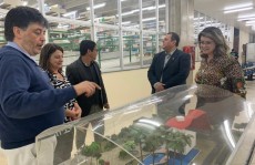 IFSP fará laudos conclusivos sobre pontes no município