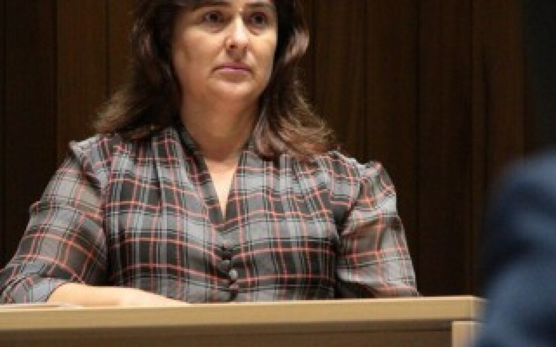 Aprovação da Pec prevê mulheres ainda mais ativas na vida pública