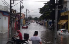 Forte chuva gera queda de árvores e alagamentos