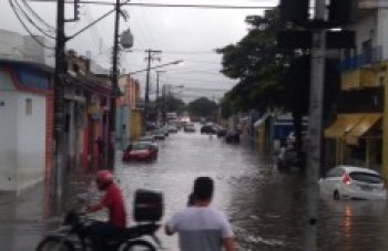 Forte chuva gera queda de árvores e alagamentos