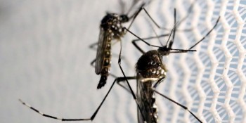 Campos registra a primeira morte por dengue no estado do Rio em 2023