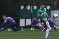 Palmeiras enfrenta o Santos hoje à noite na Vila Belmiro