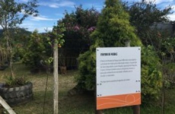 Mais de 1,2 mil mudas são doadas para plantio