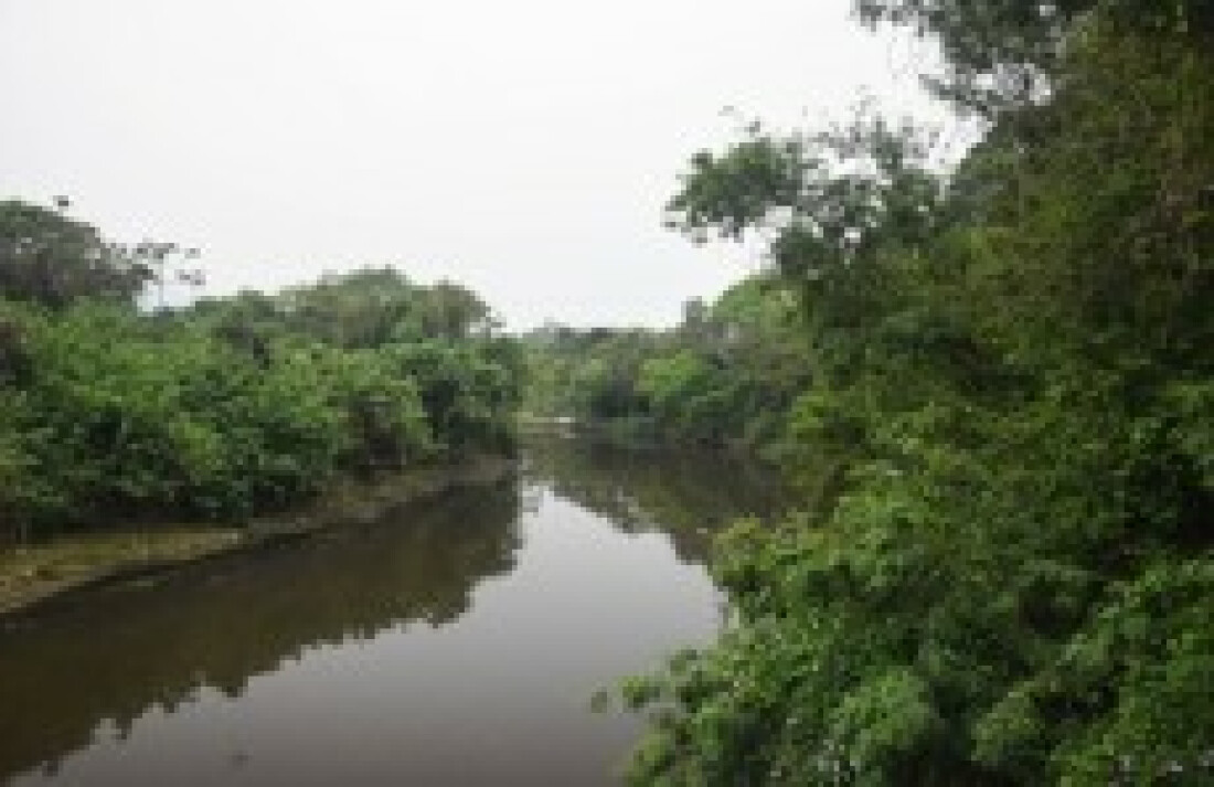 Rio Tietê pede socorro