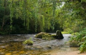 Parque protege nascentes de rio
