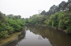 Condição da água do Tietê é cada vez mais preocupante