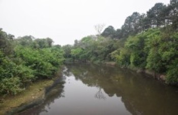 Condição da água do Tietê é cada vez mais preocupante