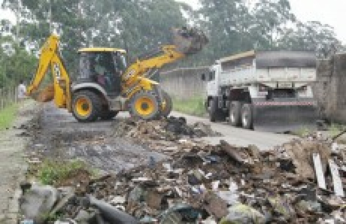 Mais de 500 toneladas são recolhidas