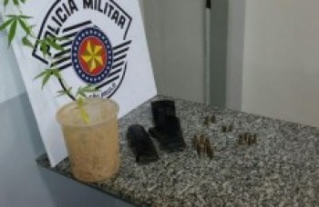Polícia encontra pé de maconha no Botujuru e mais drogas em sítio