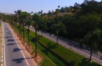 Prefeitura faz replantio de árvores em vias de Poá