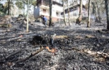 Queimada cobre terrenos na região da Volta Fria