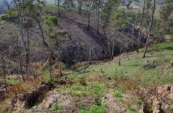 Trabalho de recuperação ambiental auxilia nascente