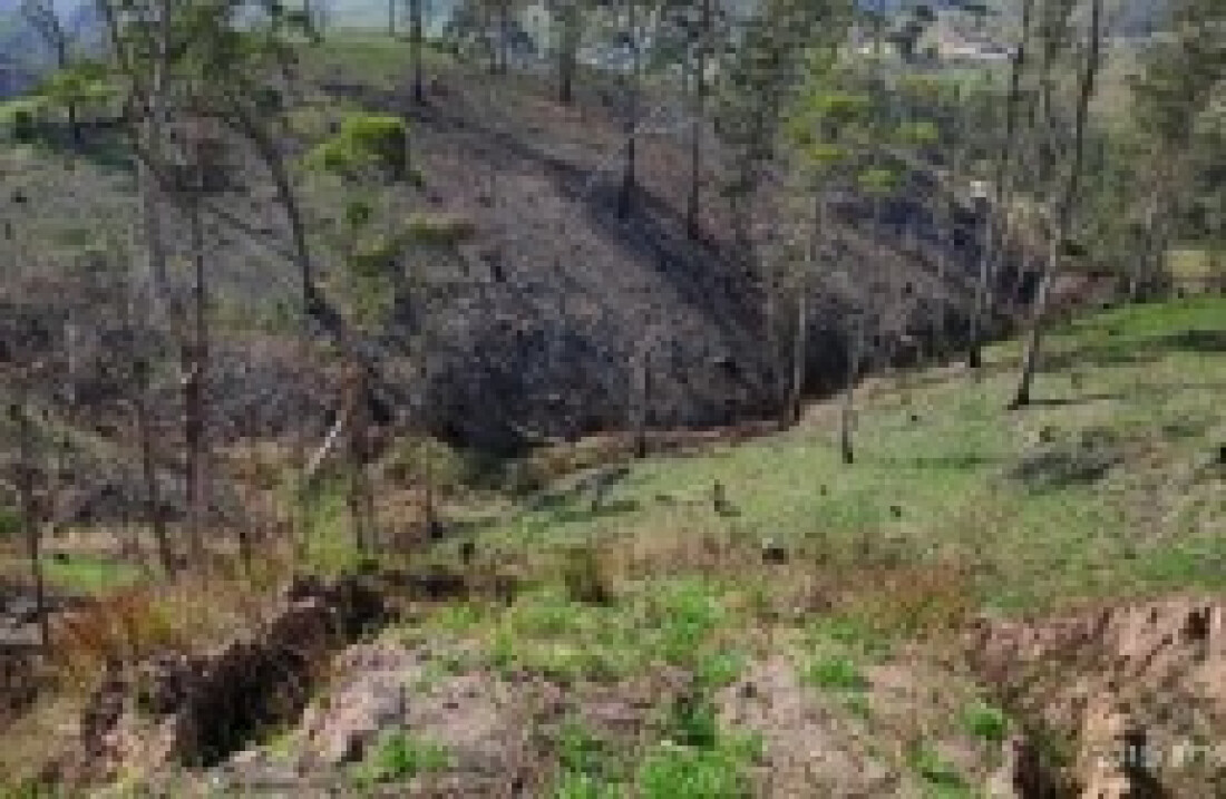 Trabalho de recuperação ambiental auxilia nascente