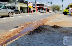 Árvore cai na avenida Pinheiro Franco, mas não deixa feridos