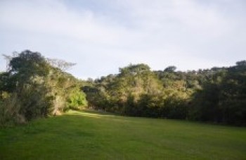 Mogi promove ação ecológica durante Semana da Primavera