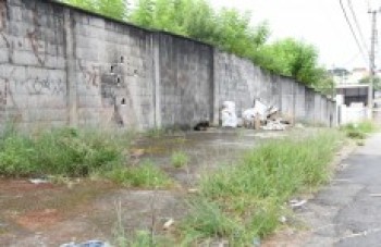 Ruas seguem sem limpeza na Vila Cintra: