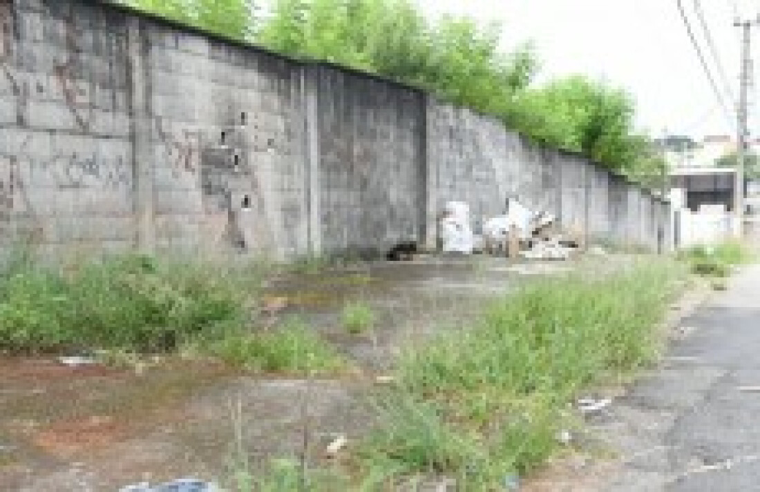 Ruas seguem sem limpeza na Vila Cintra: