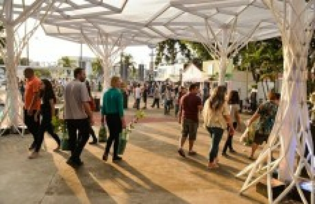 Tradicional festa das flores reúne mais de 50 mil pessoas