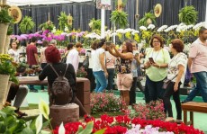 28ª Expo Aflord registra público de 40 mil pessoas