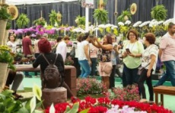 28ª Expo Aflord registra público de 40 mil pessoas