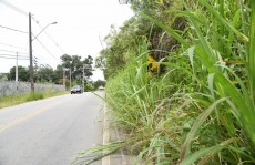 Motorista de aplicativo é encontrado morto após realizar viagem