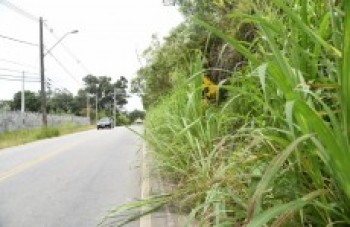Motorista de aplicativo é encontrado morto após realizar viagem