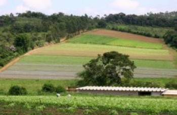 Membros do Conselho Rural serão empossados