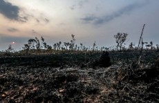 Macron não descarta solicitar status internacional à Amazônia