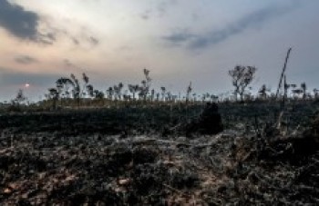 Macron não descarta solicitar status internacional à Amazônia