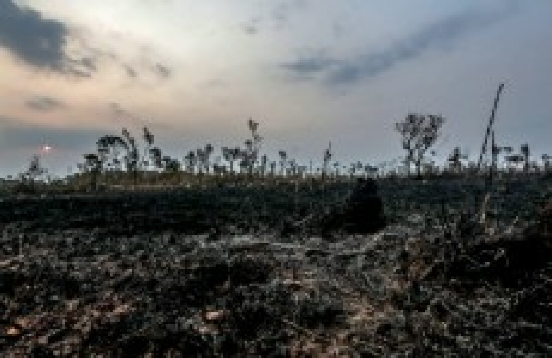 Macron não descarta solicitar status internacional à Amazônia