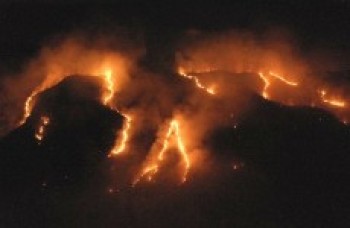 Quatro Estados pedem ajuda da União para combate a incêndios
