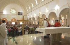 Jornada Diocesana da Juventude acontece no próximo domingo