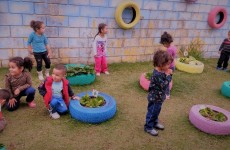 Alunos fazem colheita de horta em pneus de creche
