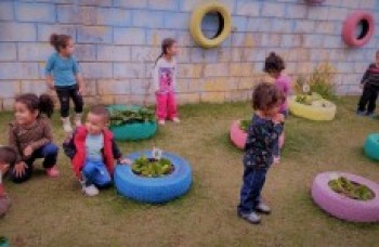 Alunos fazem colheita de horta em pneus de creche