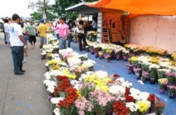 Comerciantes podem concorrer a 41 vagas