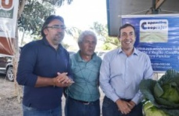 Agricultura familiar fornecerá 228 mil kg à merenda escolar