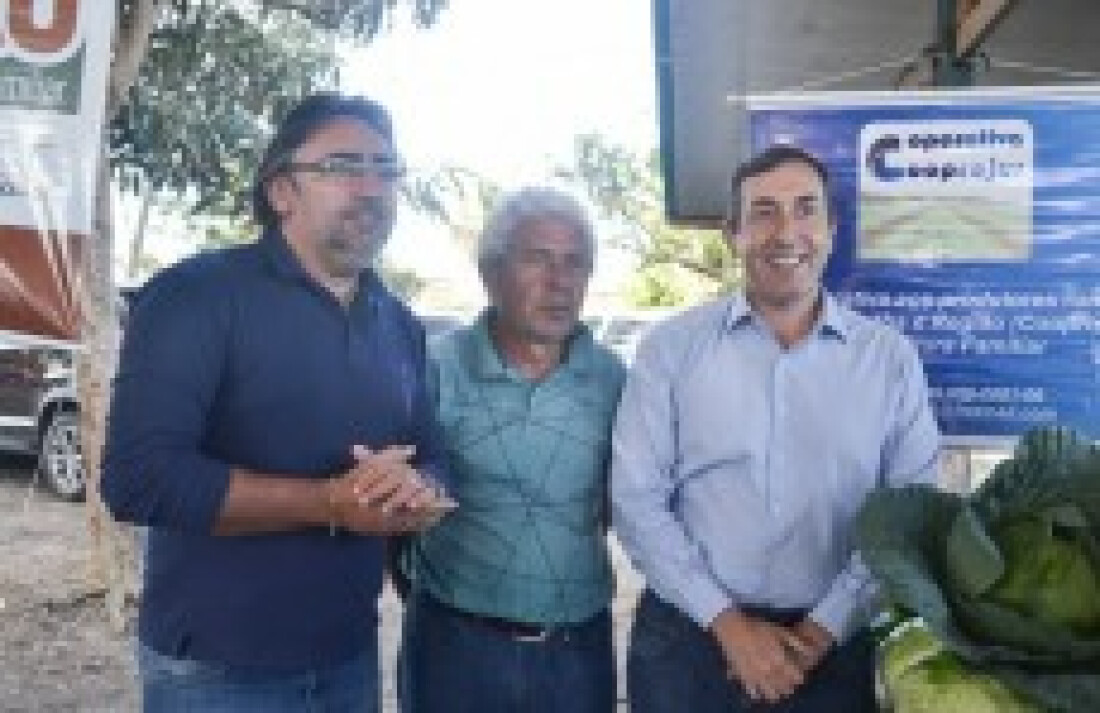 Agricultura familiar fornecerá 228 mil kg à merenda escolar